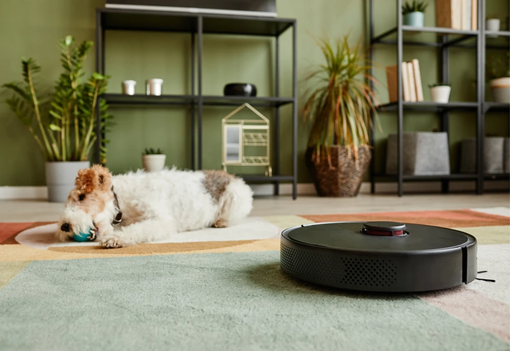 self cleaning vacuum robot