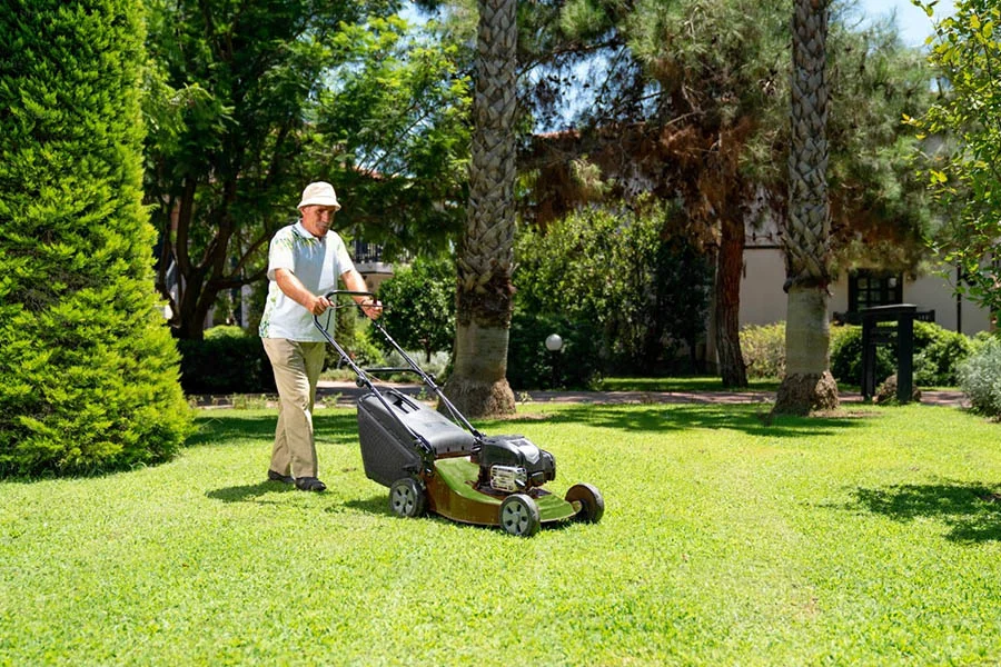 what is the best lawn mower to buy